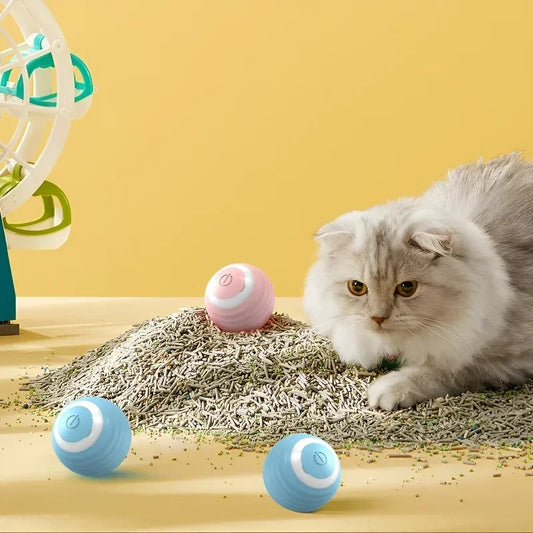 interactive electronic self-rolling ball for small/large cat.
