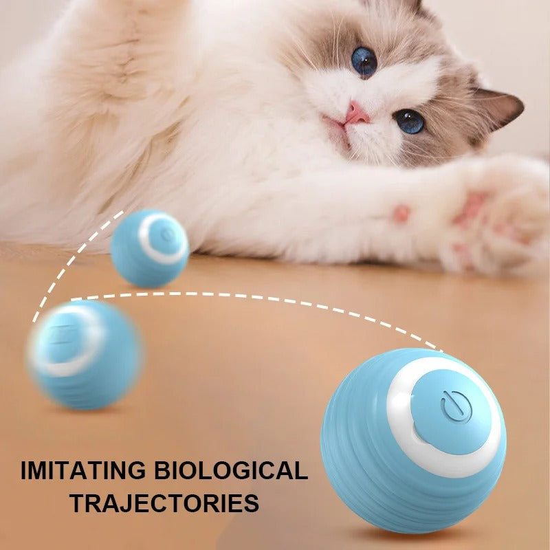 interactive electronic self-rolling ball for small/large cat.